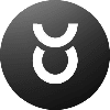 Toros logo